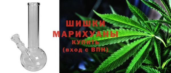 прущие грибы Осташков