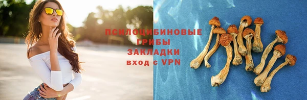 прущие грибы Осташков
