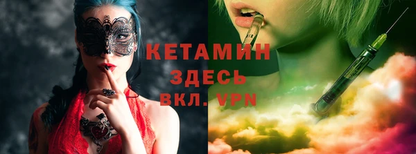 прущие грибы Осташков