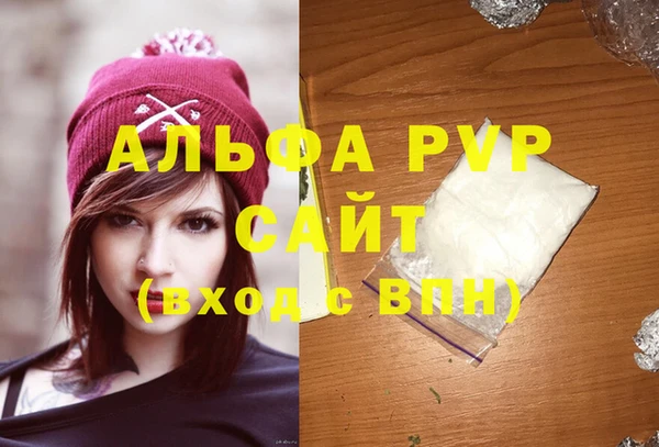 прущие грибы Осташков