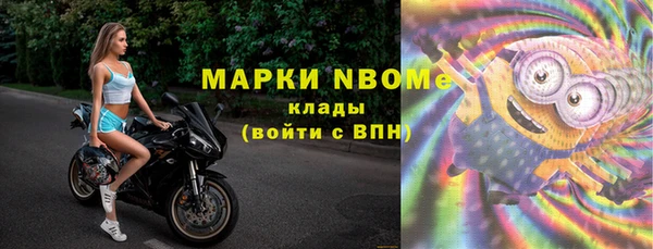 прущие грибы Осташков