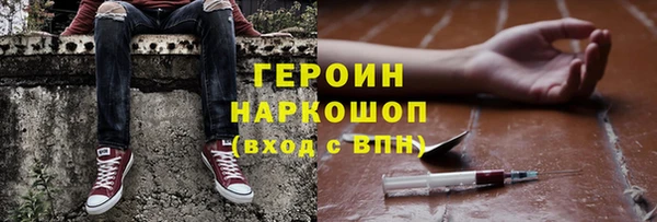 индика Няндома