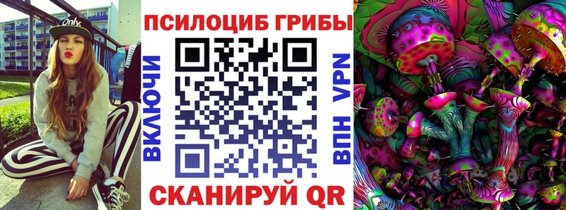 Псилоцибиновые грибы Psilocybe  что такое   Новоржев 